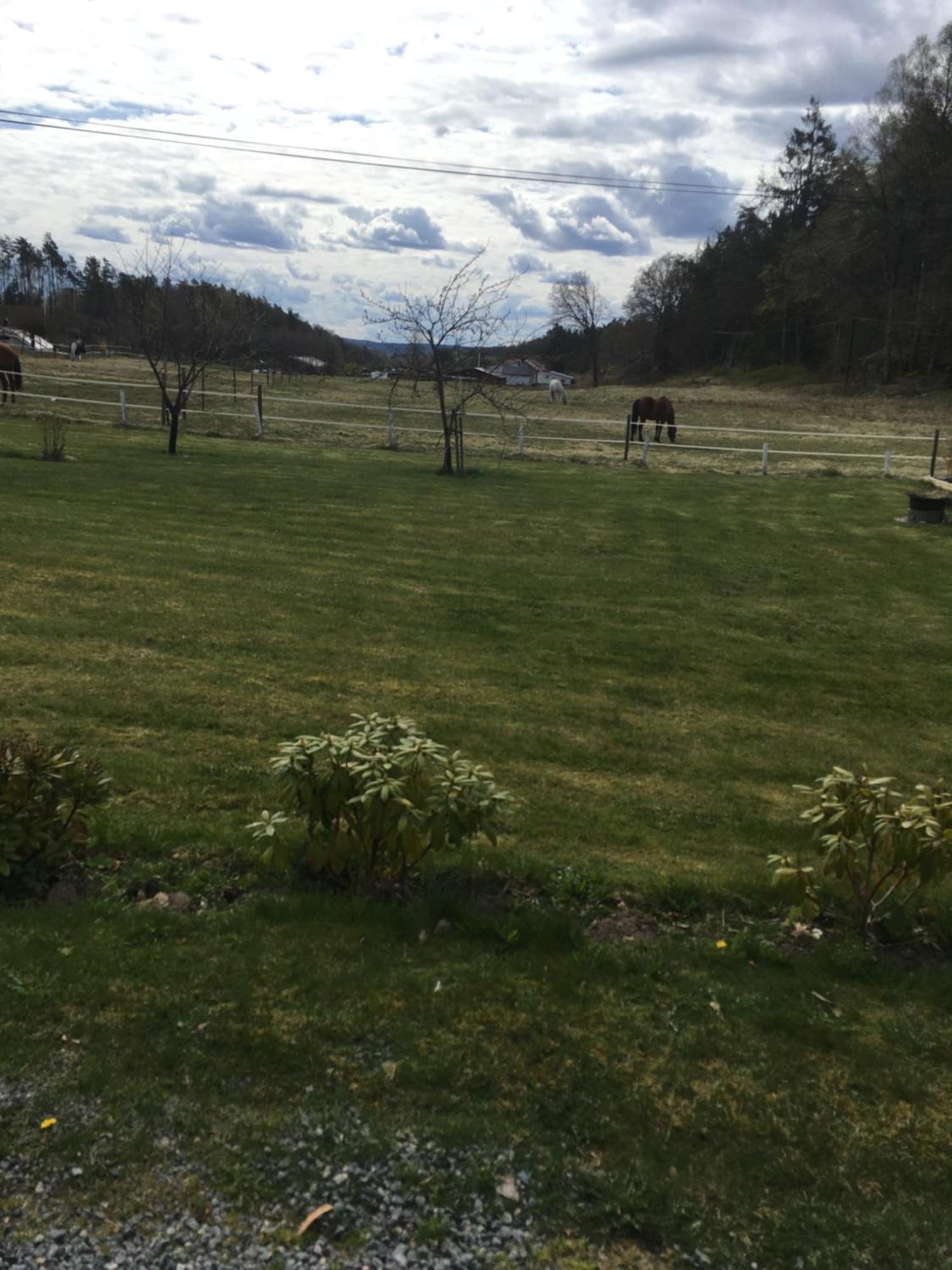 Airbnbekasberg Olofstorp Exterior photo